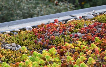 the cost of Lenham green roof installation