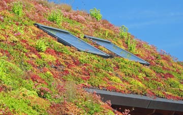 Lenham living roof systems